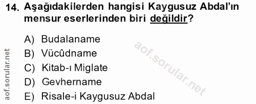 Soru 14