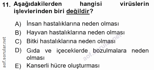 Soru 11