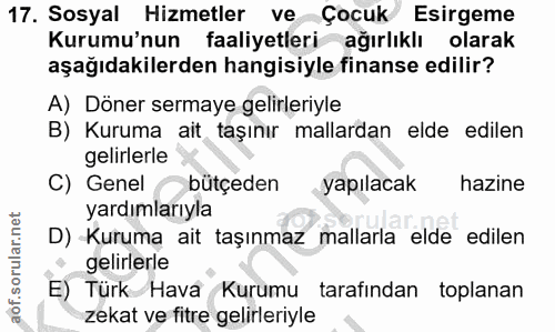 Soru 17