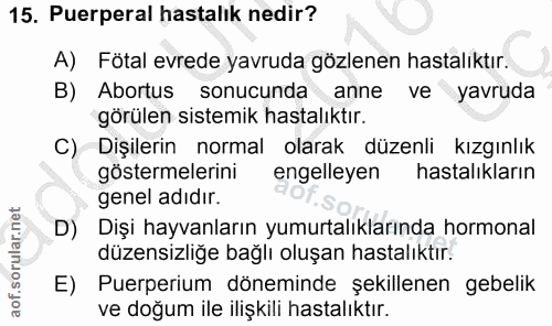 Soru 15