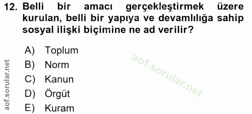 Soru 12