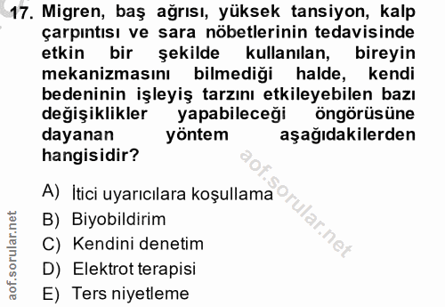 Soru 17