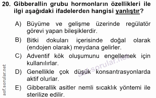 Soru 20