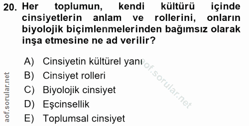 Soru 20