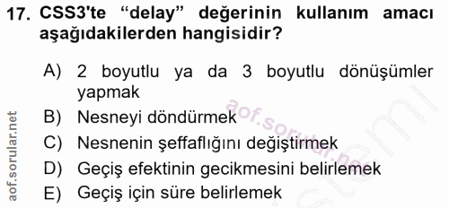 Soru 17