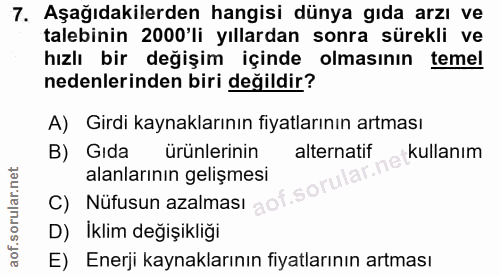 Soru 7