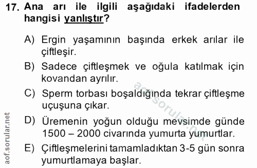 Soru 17