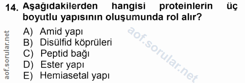 Soru 14