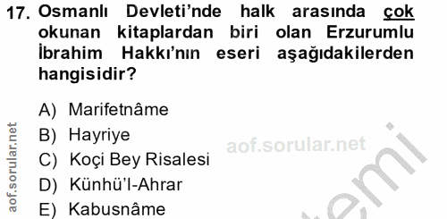 Soru 17