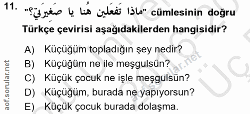 Soru 11