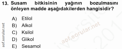 Soru 13