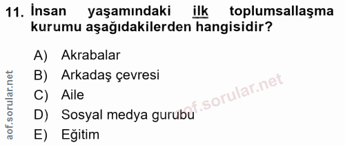 Soru 11