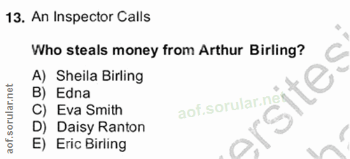 Soru 13