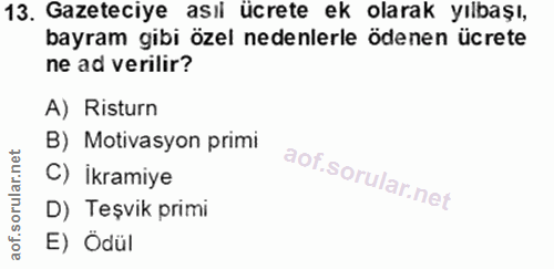 Soru 13