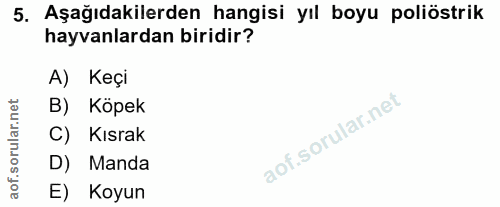 Soru 5