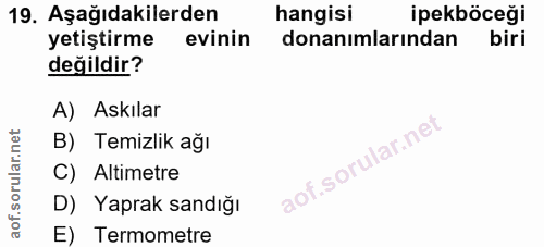 Soru 19