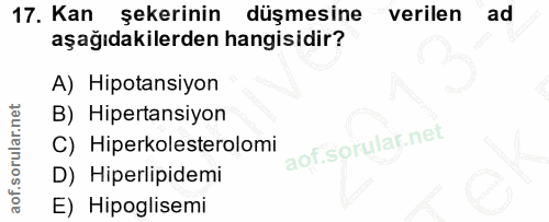 Soru 17