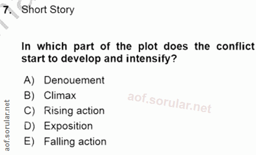 Soru 7