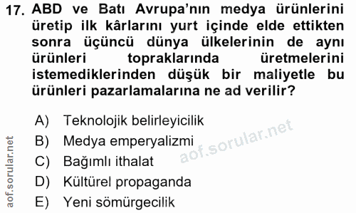 Soru 17