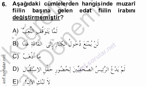 Soru 6