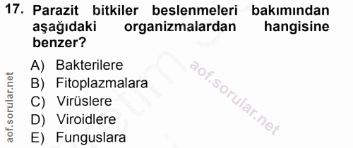 Soru 17