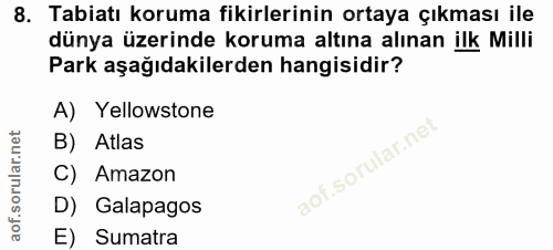 Soru 8