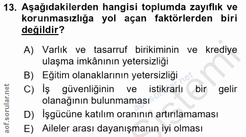 Soru 13