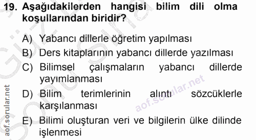 Soru 19