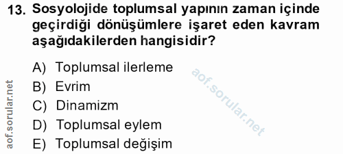 Soru 13