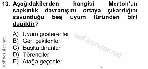 Soru 13