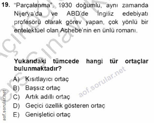 Soru 19
