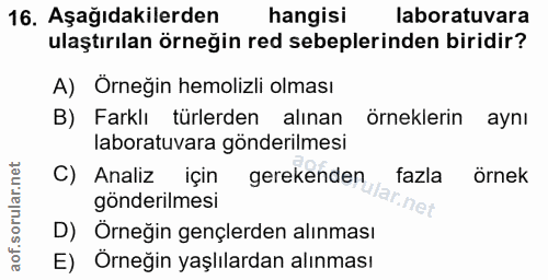 Soru 16