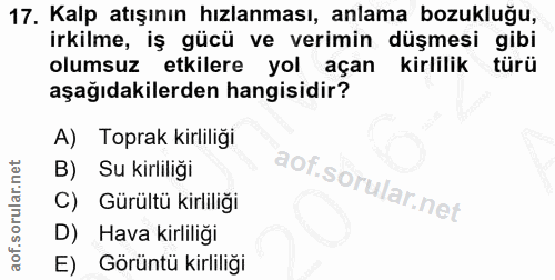 Soru 17
