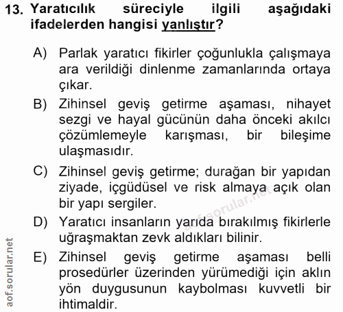 Soru 13