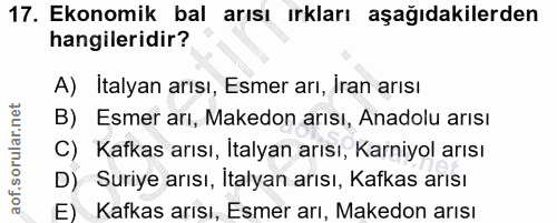Soru 17