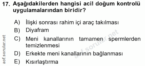 Soru 17