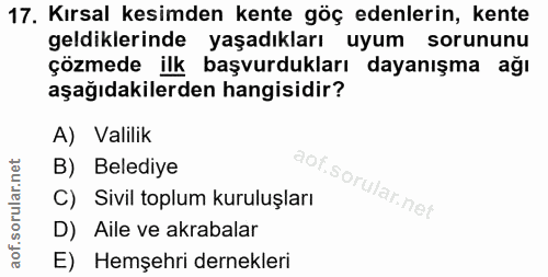Soru 17