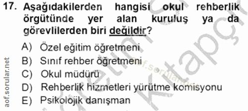Soru 17