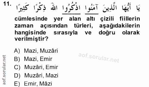 Soru 11