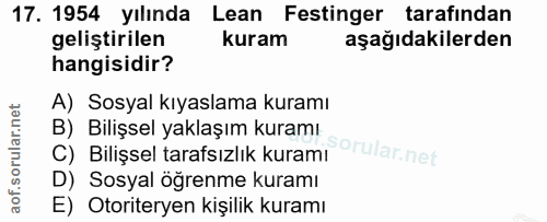 Soru 17