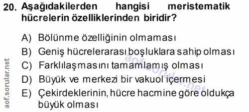 Soru 20