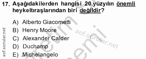 Soru 17