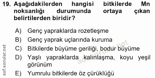 Soru 19