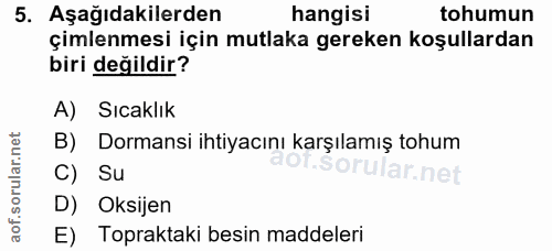 Soru 5