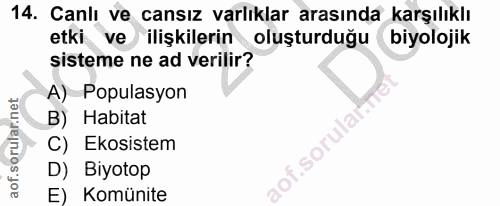 Soru 14