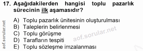 Soru 17