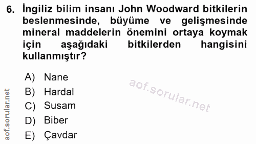 Soru 6