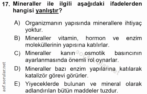 Soru 17