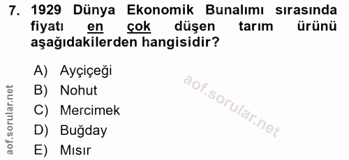 Soru 7