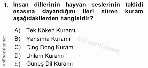 Soru 1